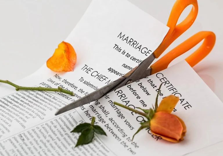 Image of petition for divorce citing grounds for divorce in Georgia.